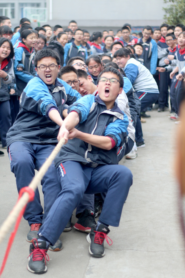 拔河比赛学校写什么内容_学校拔河比赛_拔河比赛学校活动方案