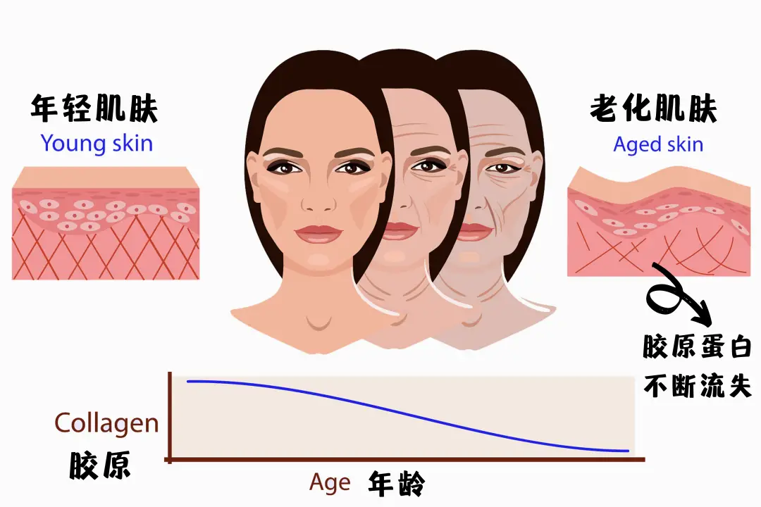 起点劳务派遣软件_劳务派遣软件下载_劳务派遣系统软件