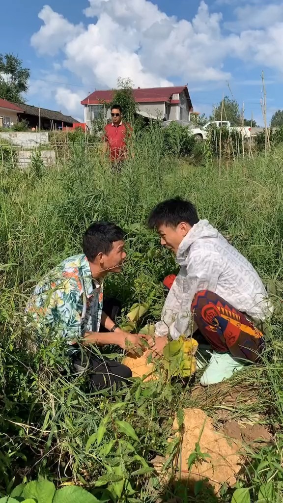 什么是兄弟 经典语录_经典兄弟语录长句_兄弟经典语录短句