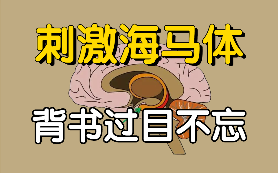 忘目的意思_过目不忘怎么办_怎样可以过目不忘