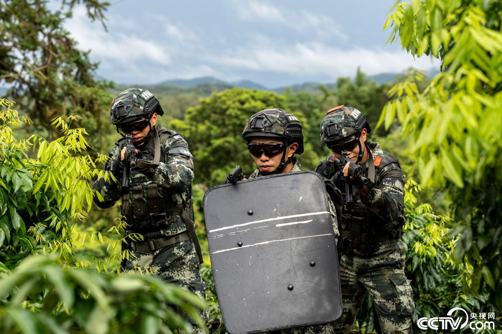 尖兵2转技能加点_尖兵属性加点2016_尖兵能力点怎么加