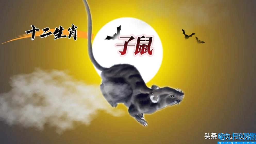 欲钱买机灵好动的动物猜生肖_什么生肖机灵_欲钱买最机灵的生肖