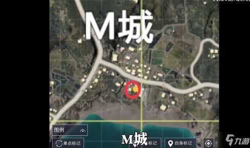 和平精英未来发展趋势,和平精英未来发展趋势分析