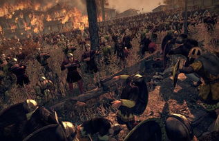 阿提拉全面战争赌徒,策略与运气的双重考验