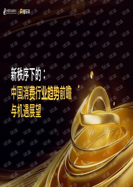 新秩序2023磁力,探索科技与社会的磁力融合