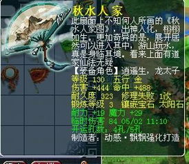 龙宫花费好多,花费背后的价值与考量