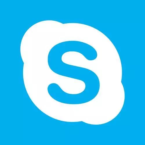 skype外导讨论学费,性价比与投资回报