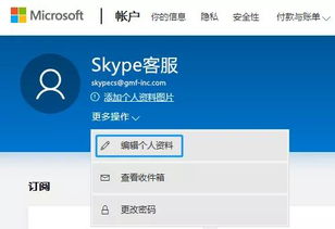 Skype您尝试的号码无效,揭秘号码错误背后的原因及解决方案