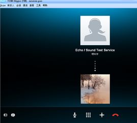 skype如何使用国际信用卡,轻松实现全球通话