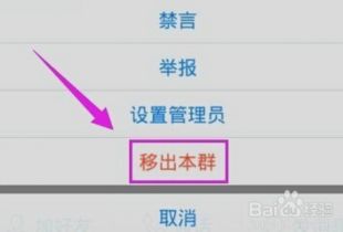 skype群里怎么踢人,如何巧妙地处理踢人问题
