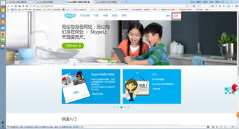 skype是什么软件什么人用它,助力在线会议与面试的便捷平台