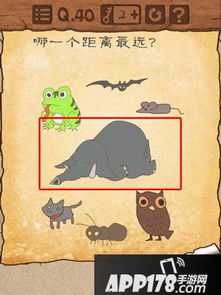 第20关最囧游戏,最囧游戏第20关攻略揭秘