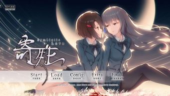 h的百合游戏,h的百合游戏深度解析