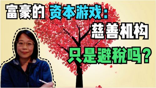 慈善的游戏,共创美好未来