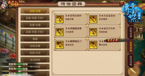 攻略向游戏,探索中世纪幻想世界的奥秘