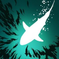 深海鱼群 