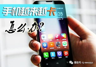 手机是不是安卓系统,探索智能手机的操作系统奥秘