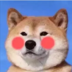 叠影图片 [][][]  