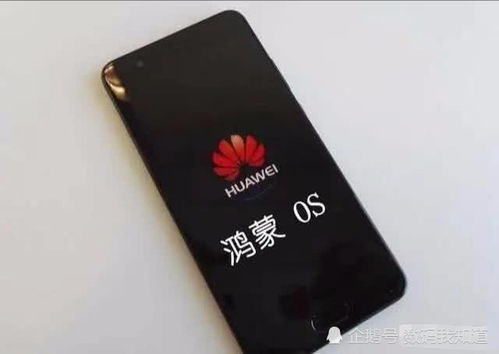 华为安卓最新系统,创新科技引领未来智能生活
