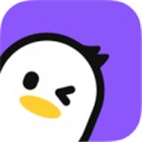 皮玩交友官方正版安卓版下载 