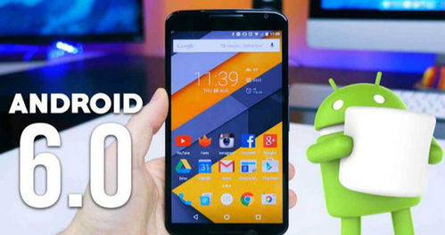 安卓系统怎么预订皮肤,安卓系统轻松预订个性化皮肤教程