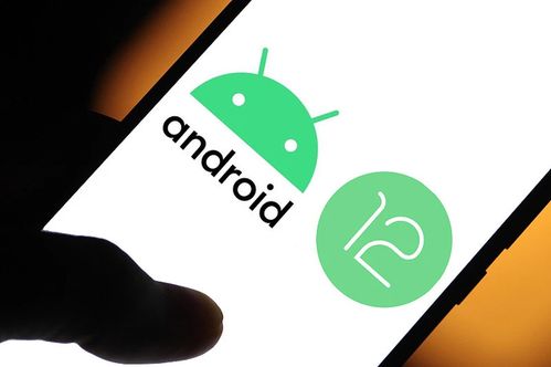 安卓系统谁适配手机,揭秘手机兼容性背后的技术奥秘