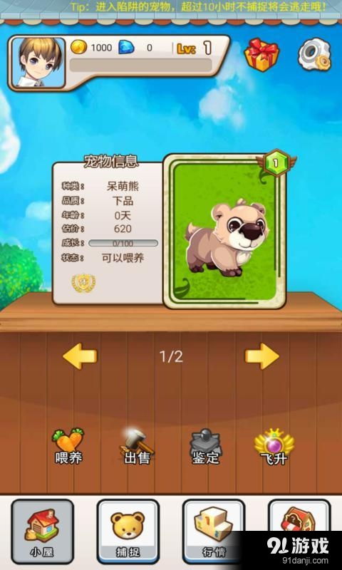 安卓系统手机宠物游戏,陪伴你的虚拟宠物乐园