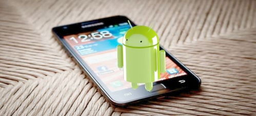 安卓系统黄叶怎么去除,安卓系统黄叶问题快速解决指南