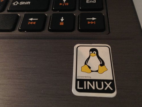 linux系统安卓套壳,Linux系统下安卓套壳技术解析与应用