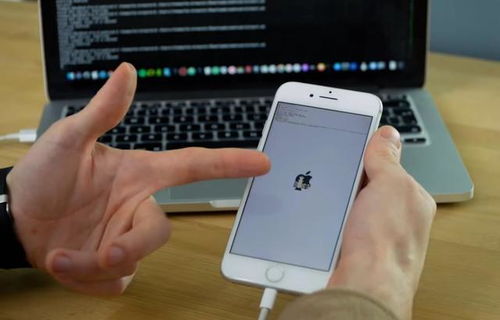 苹果手机安卓系统体验,一场跨界的奇妙之旅